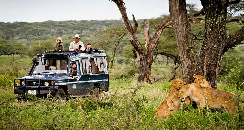 Mokolodi Nature Reserve, Near Gaborone, Botswana